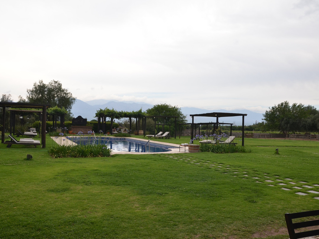 Patios de Cafayate Wine Hotel主图