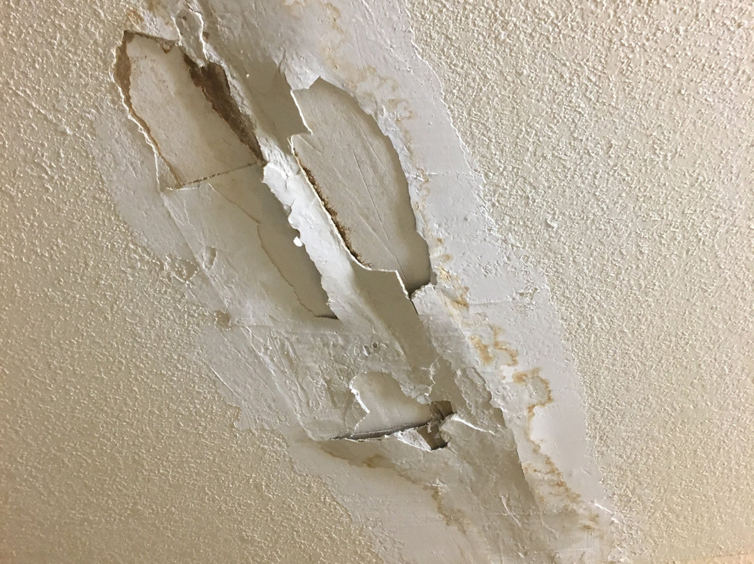 Extended Stay America Select Suites - Washington D.C. - Germantown - Town Center主图