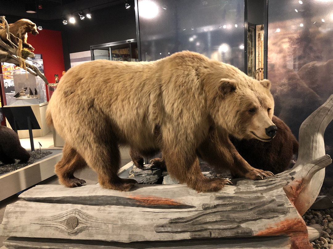 Maxine & Jesse Whitney Museum-瓦尔迪兹必去景点