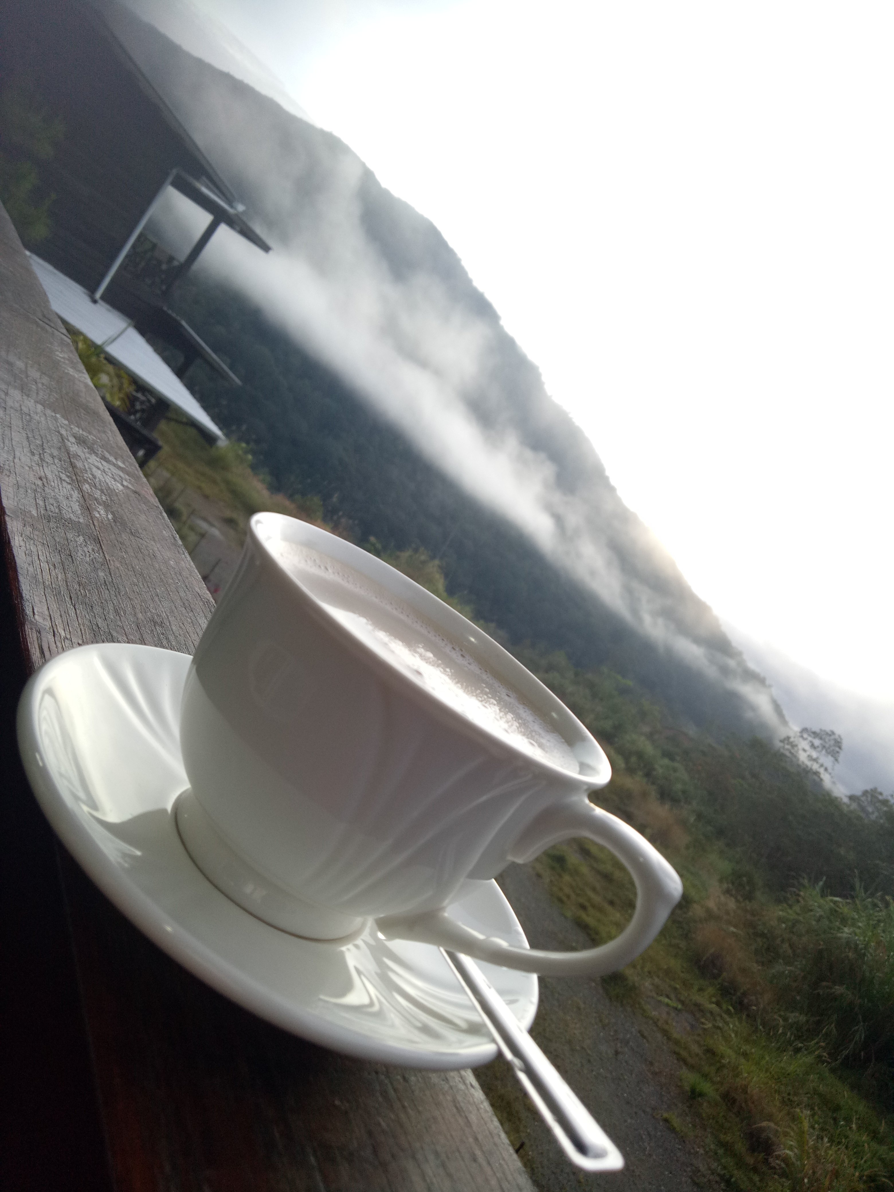 Nikgold Garden Resort-官方