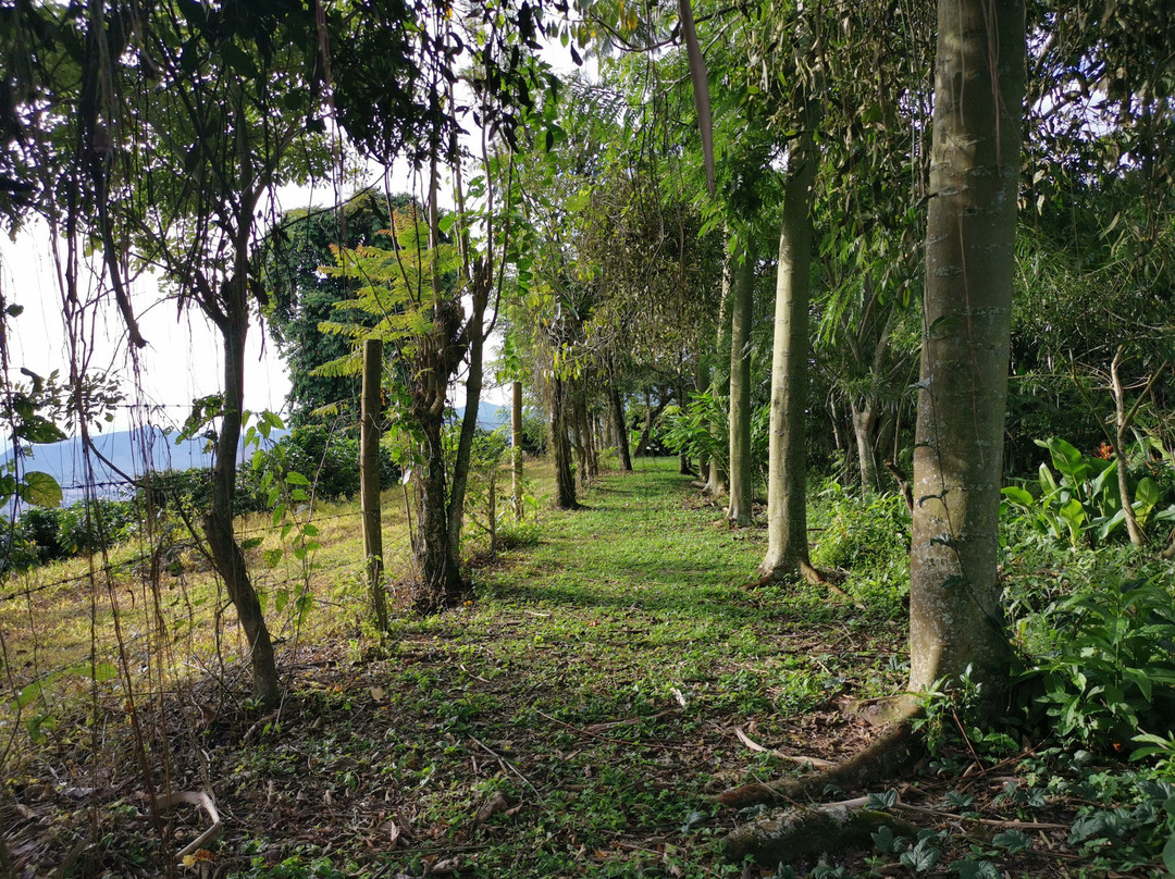 La Selecta Eco Hotel主图