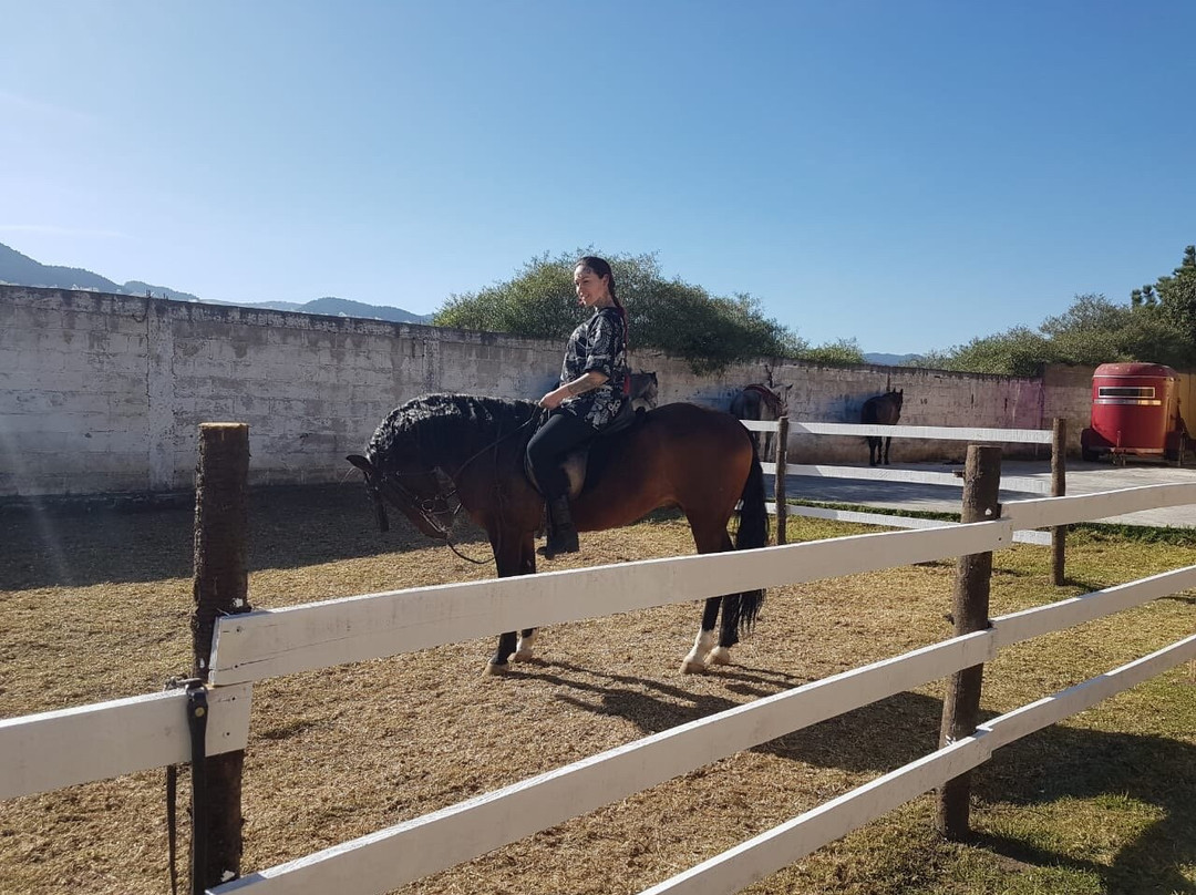 Torres, Equestrian Adventures-墨西哥城必去景点