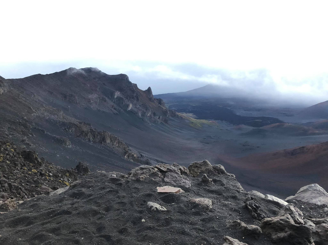 Cruiser Phil's-卡胡卢伊必去景点