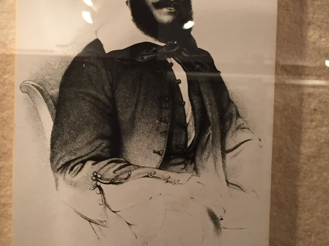 Bathori Istvan Muzeum景点图片