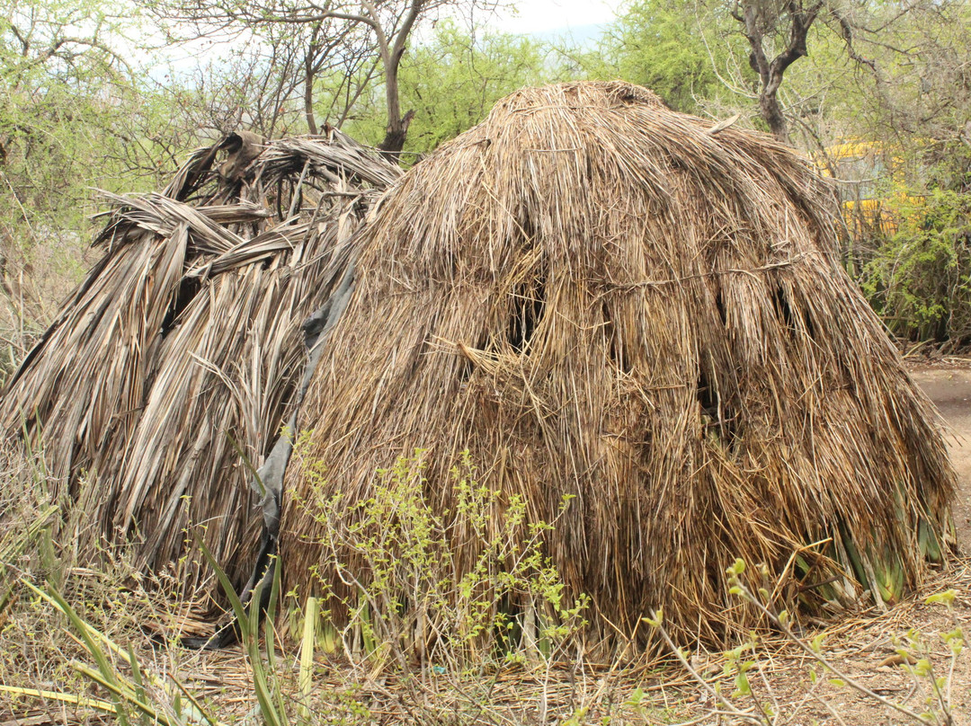 Africa Mollel Safaris-阿鲁沙必去景点