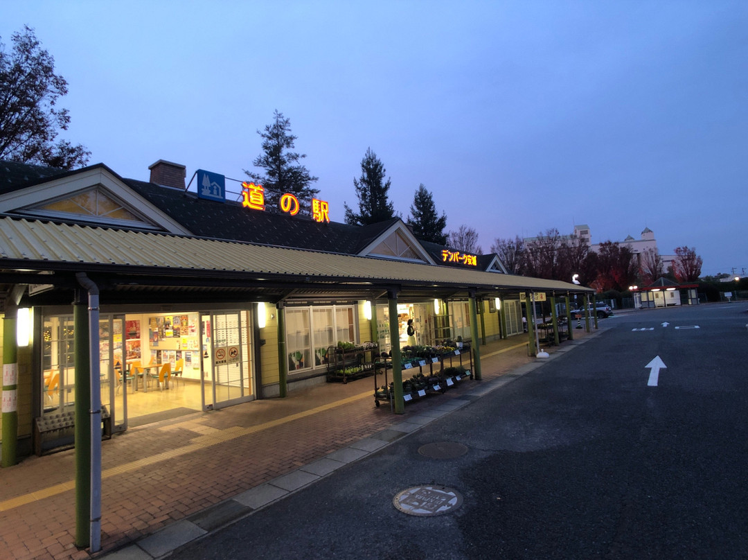 Michi-no-Eki Denpark Anjo-安城市必去景点