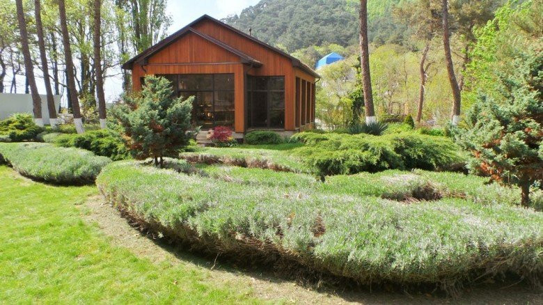 Dzhanhot Pension主图