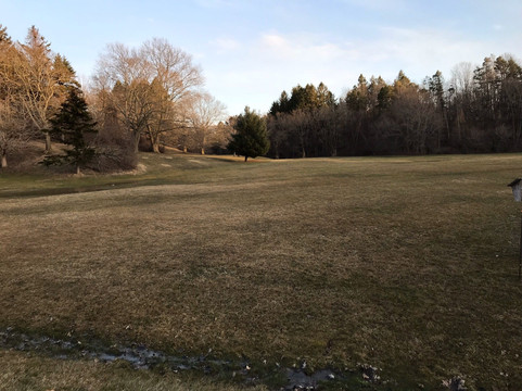 Webster Park-Webster必去景点