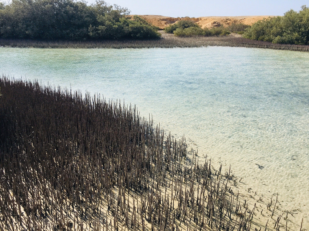 Mangrove Beach-Ras Mohammed必去景点