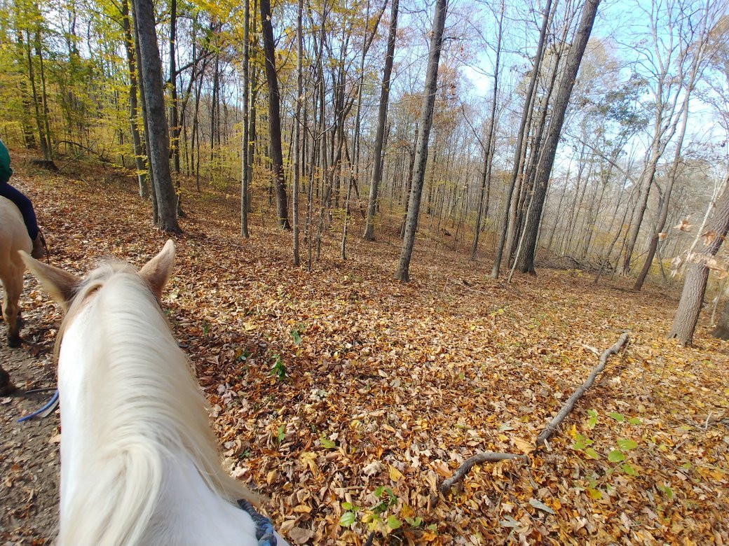 Salt Creek Ranch-Laurel必去景点