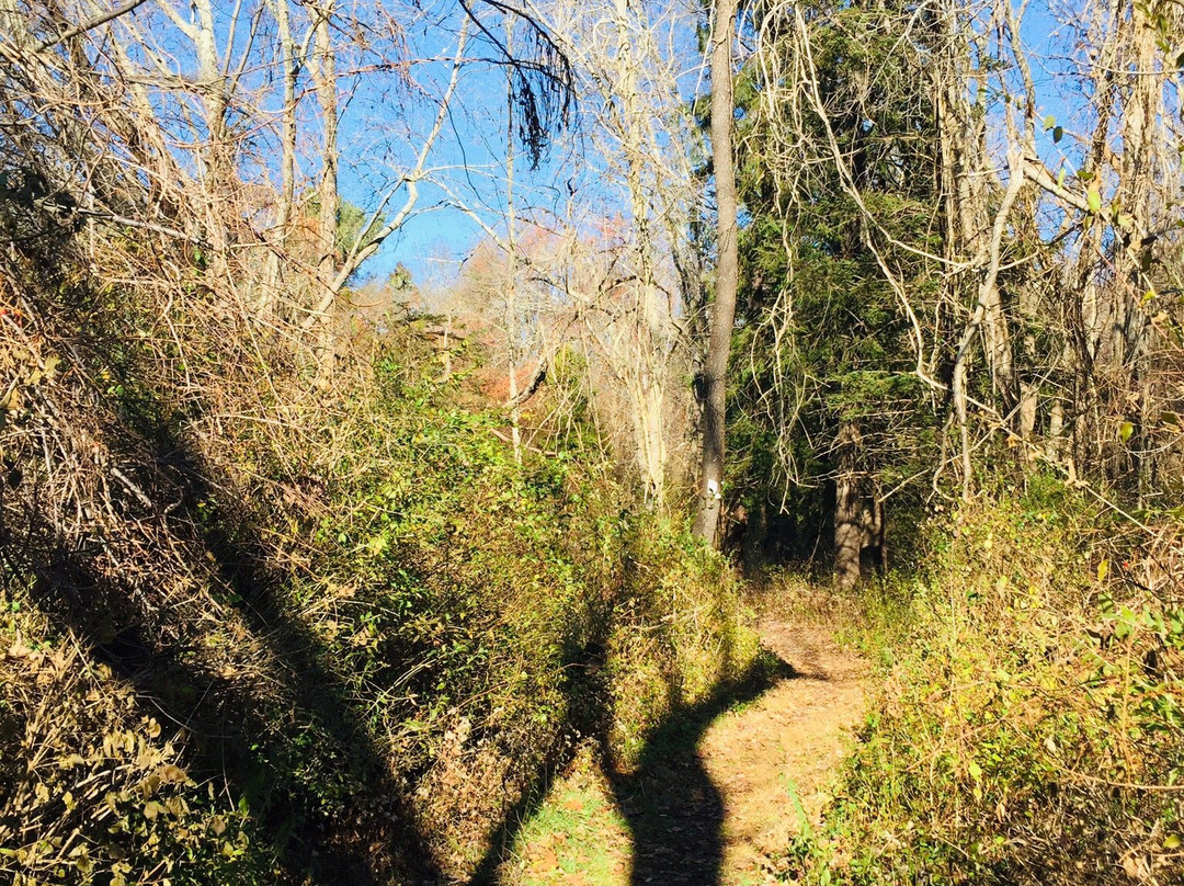 Emilie Ruecker Wildlife Refuge-Tiverton必去景点