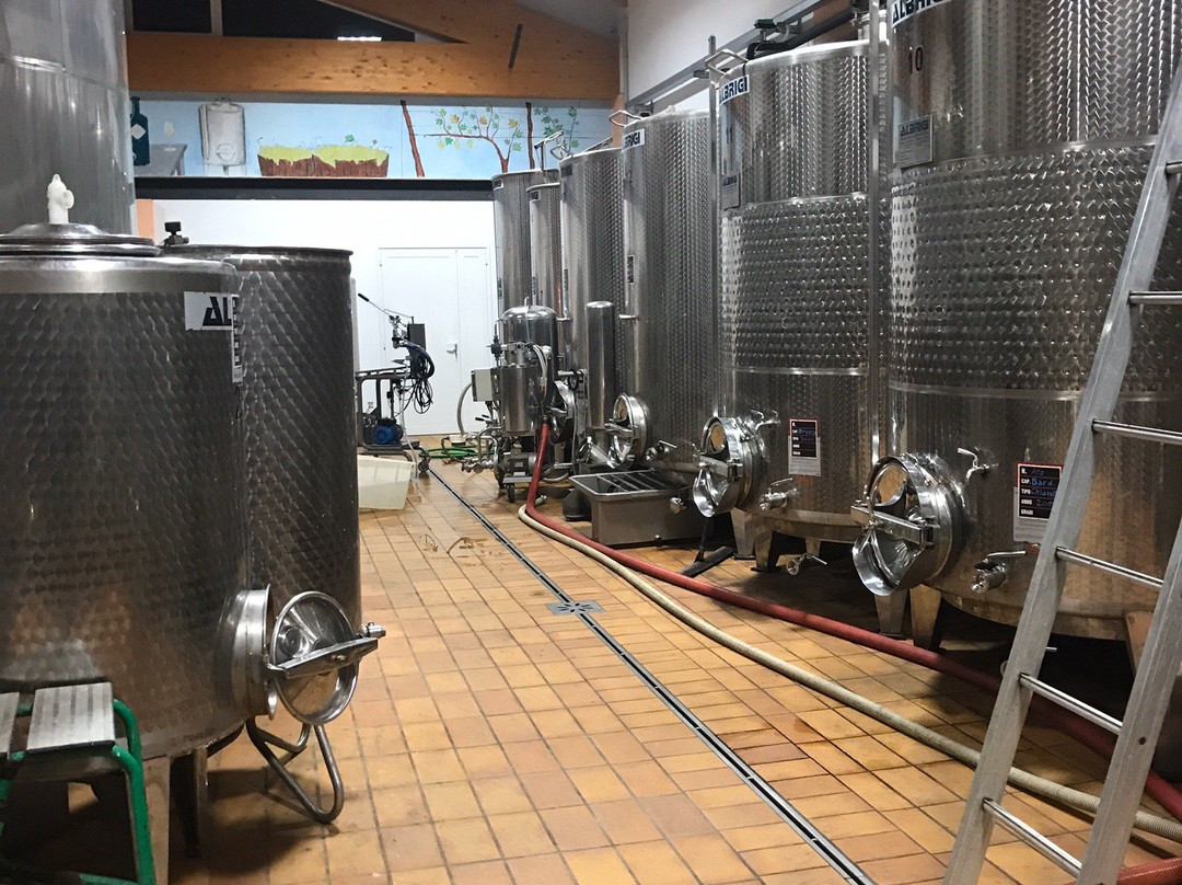 Cantina Il Pignetto景点图片