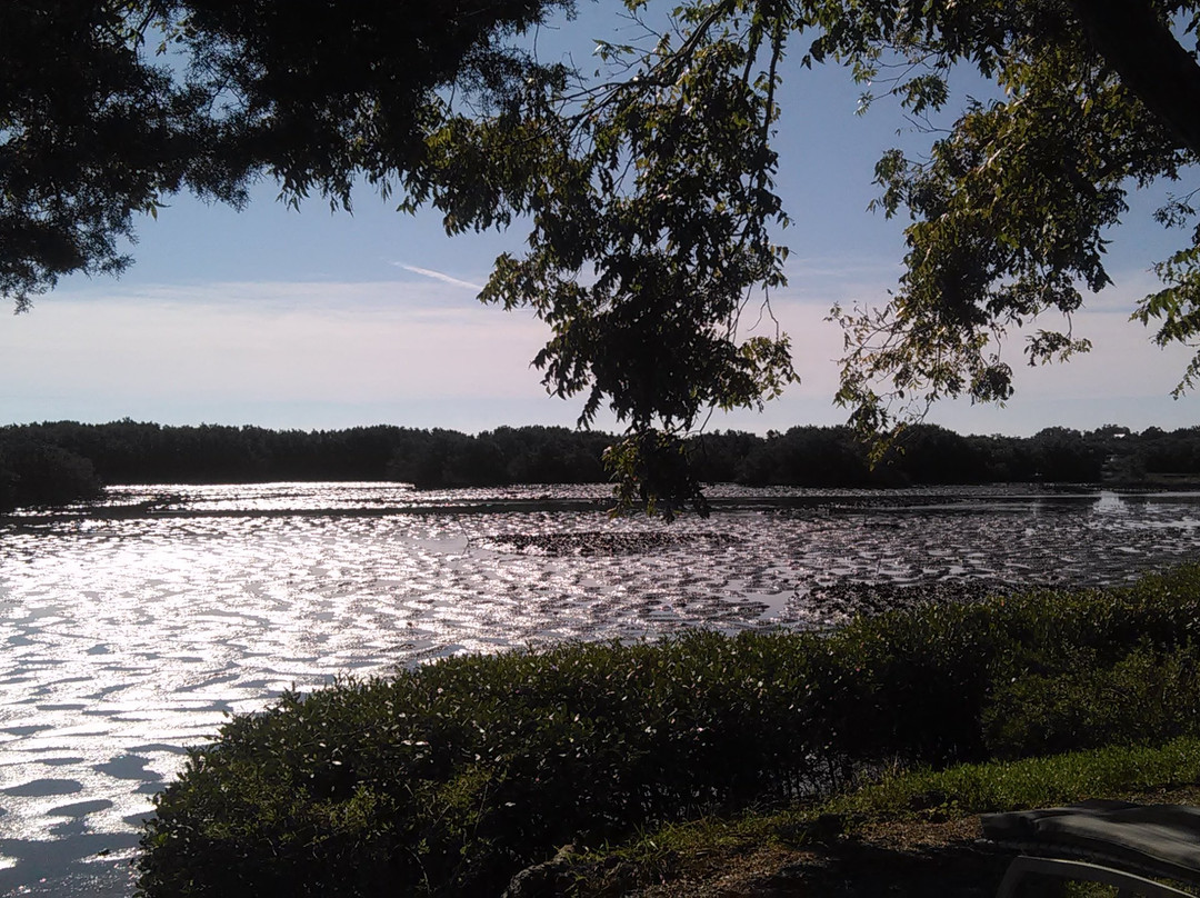 Cedar Key Paddling景点图片