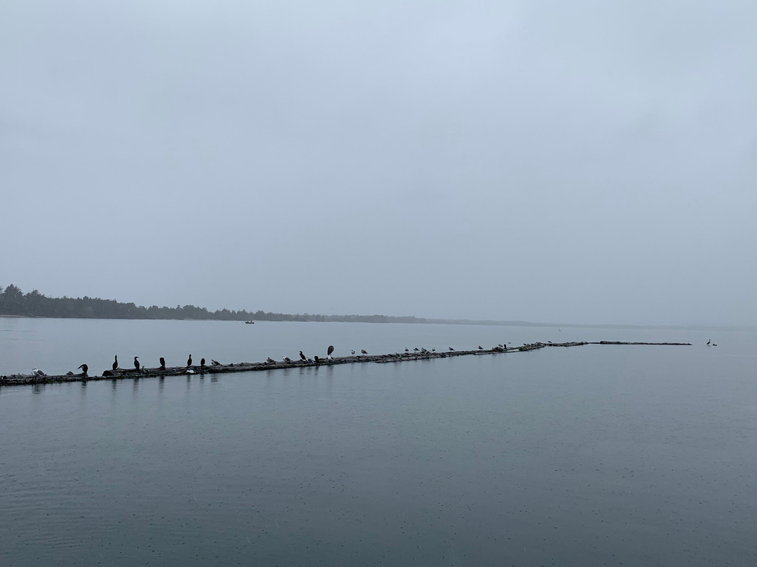 Kelly's Brighton Marina-Rockaway Beach必去景点