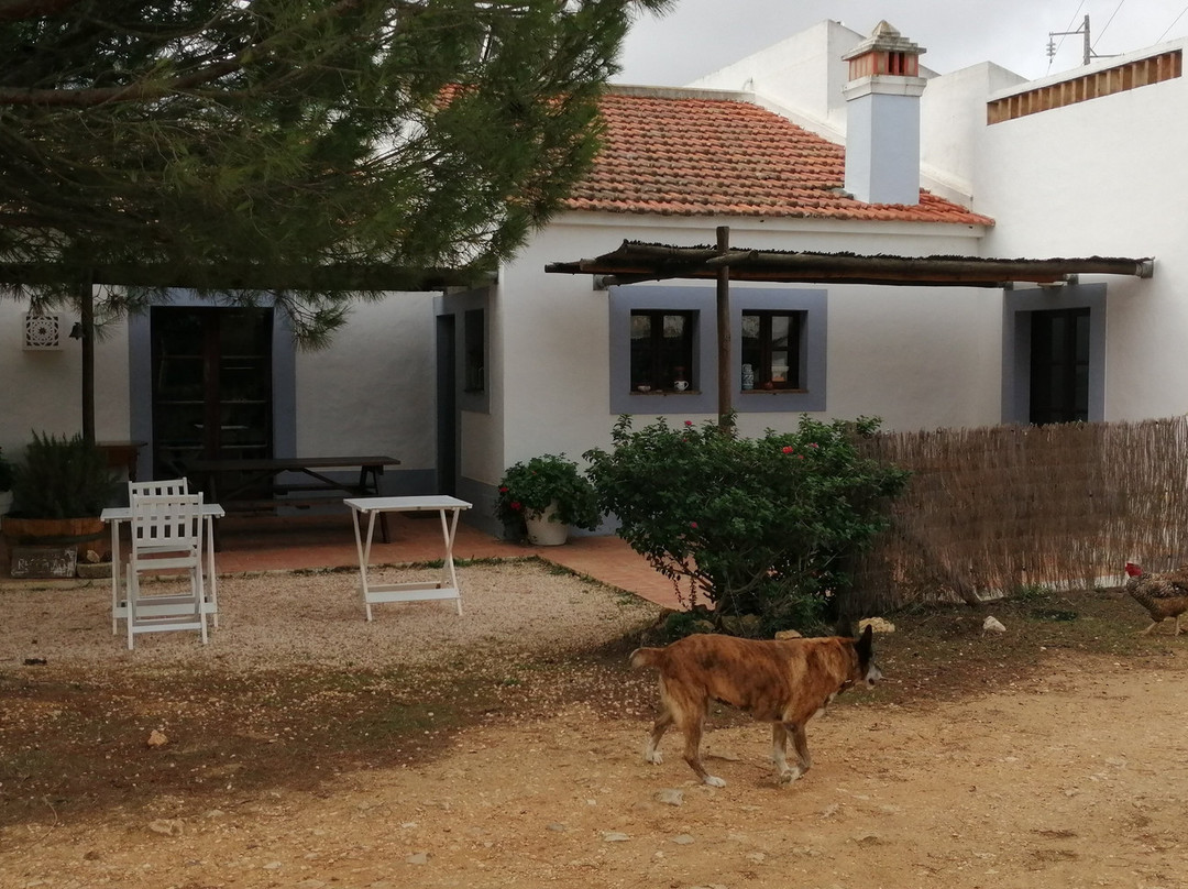 Monte da Casteleja主图