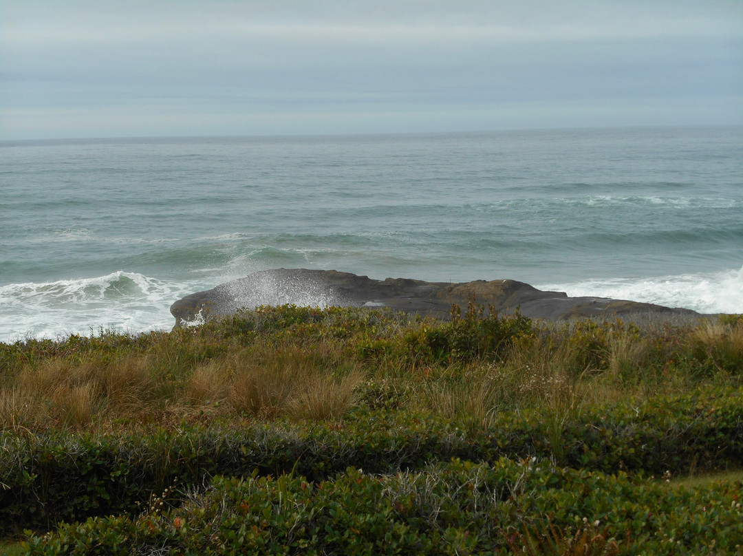 Fireside Motel主图