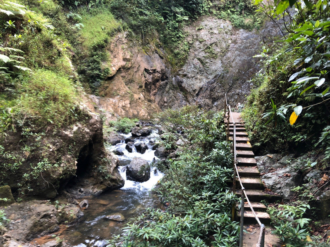 River Tubing Fiji-Navua必去景点