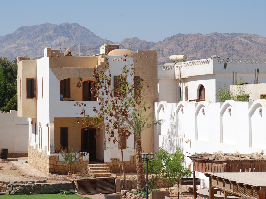 奥里贾纳达哈卜酒店主图