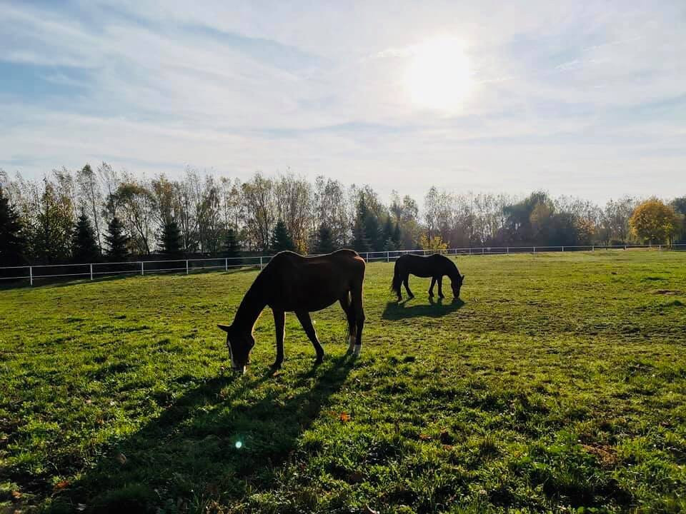 Hotel Stara Stajnia主图
