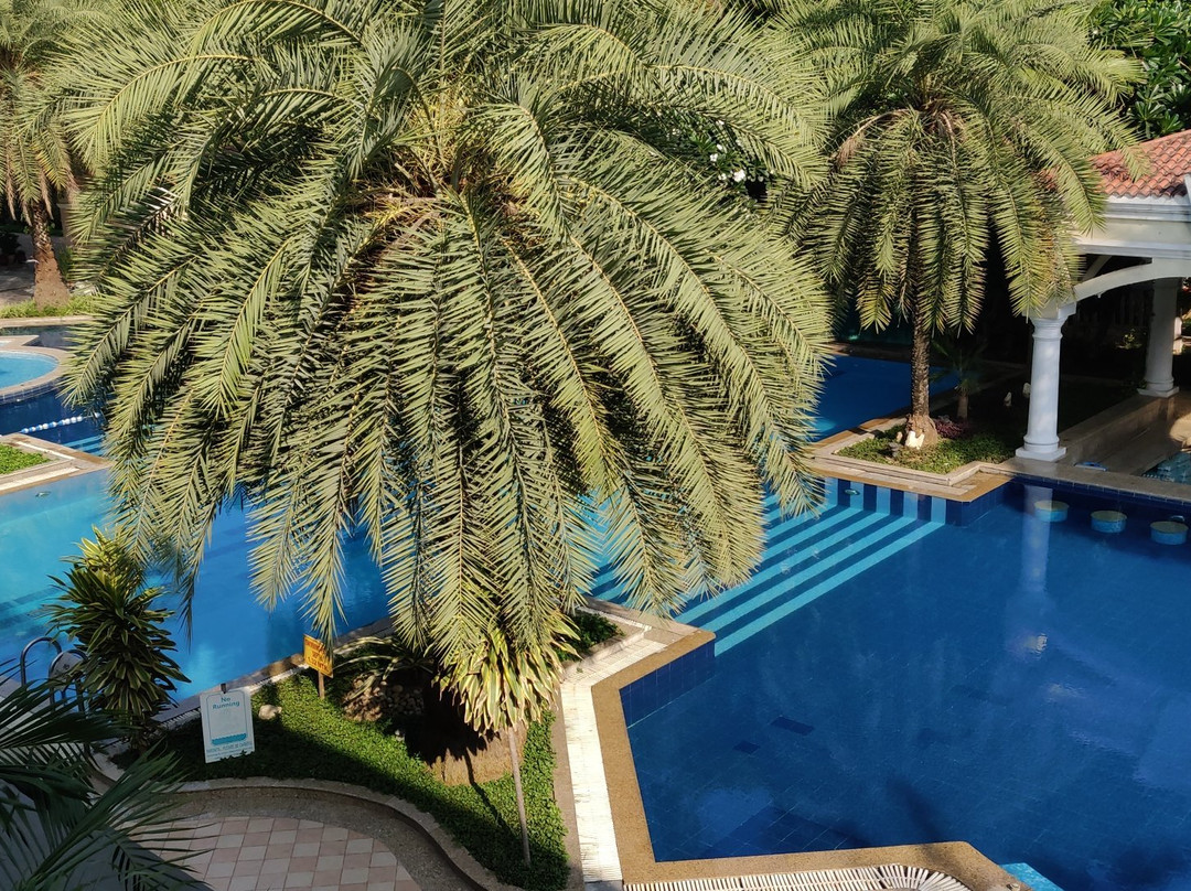 印度棕榈乡村俱乐部度假酒店主图