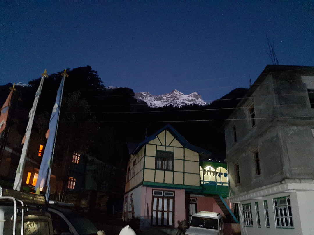 Delight Royal Lachen主图