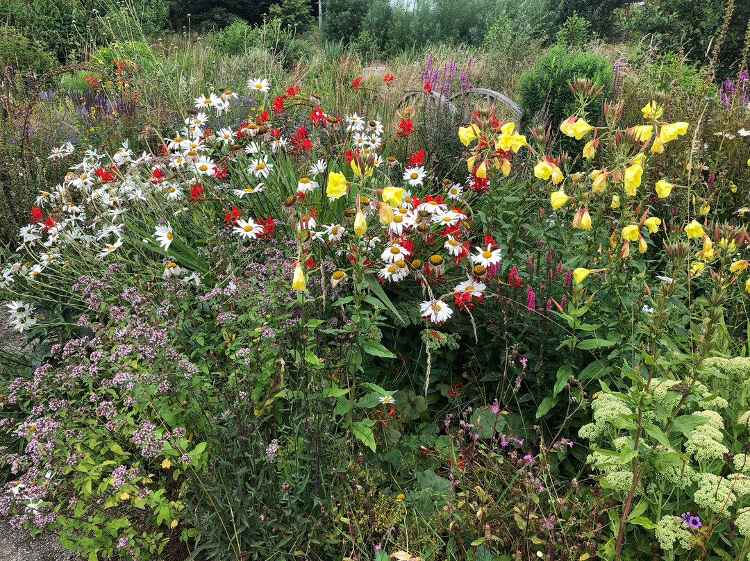 Auchencairn Community Garden景点图片