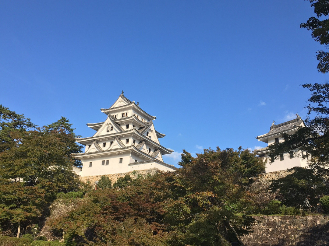 Gujo Hachiman Castle景点图片