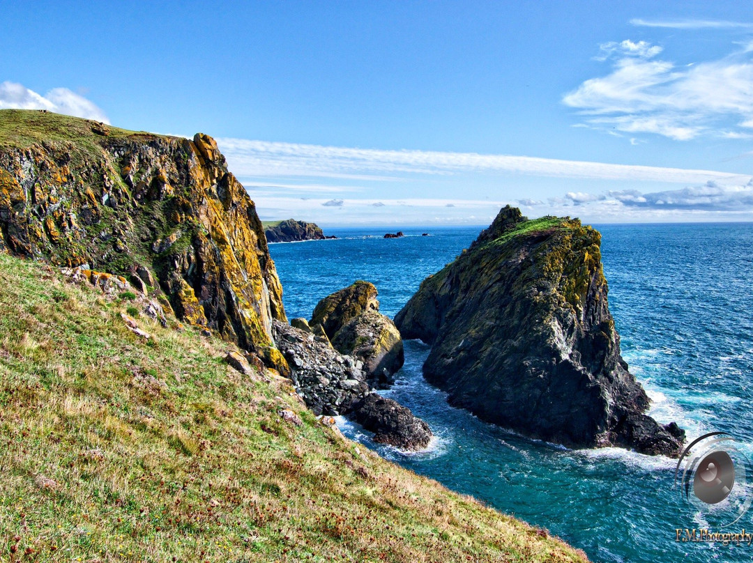 Predannack Downs Nature Reserve-康沃尔必去景点
