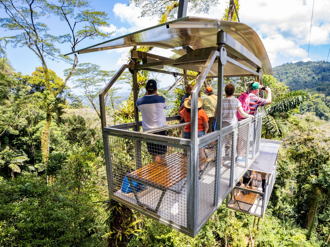 Veragua Rainforest Park景点图片