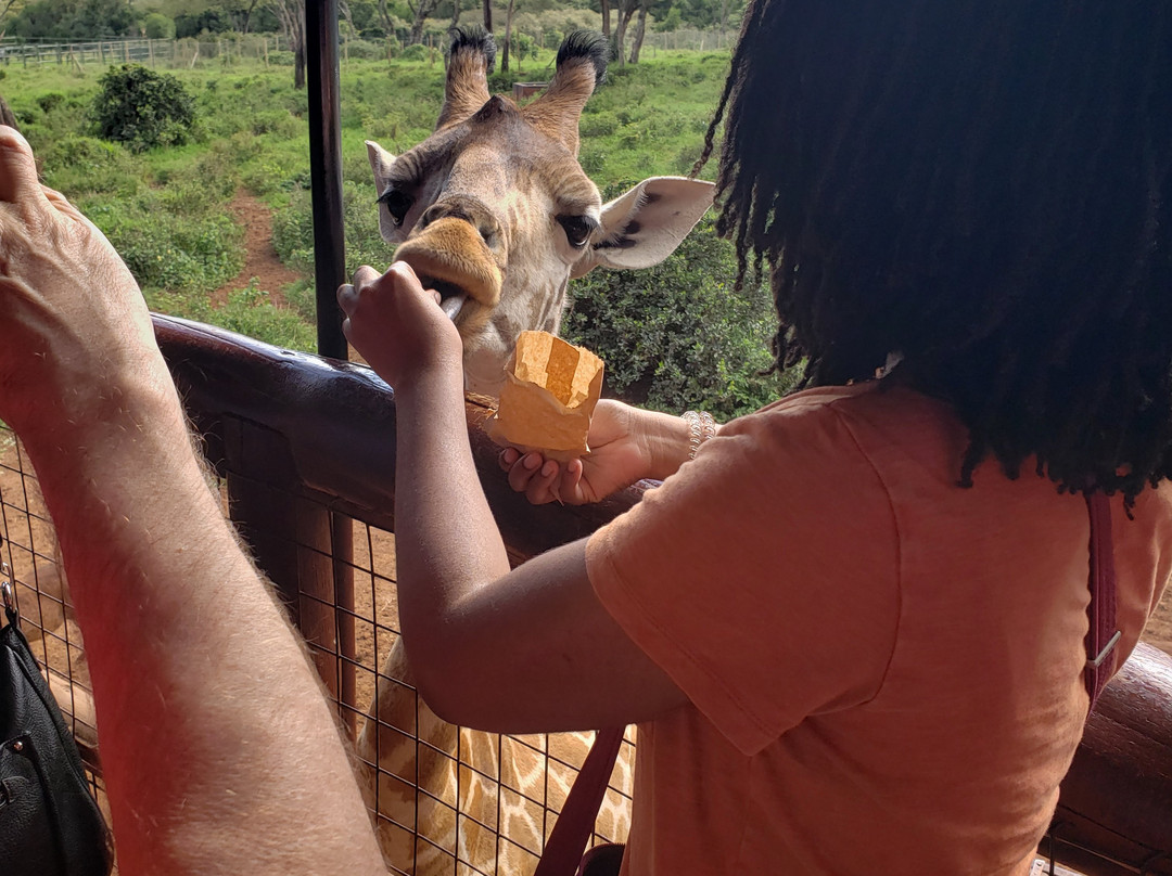 Traverze Culture-奥兰多必去景点