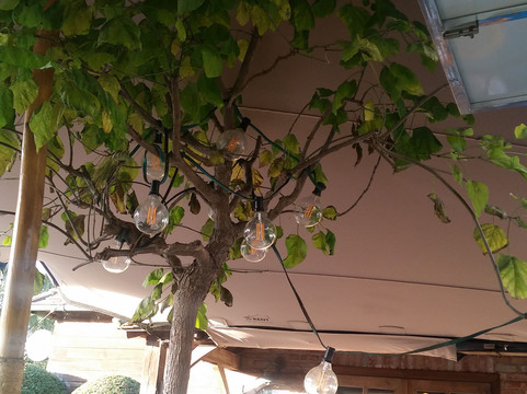 Baarle旅游攻略图片