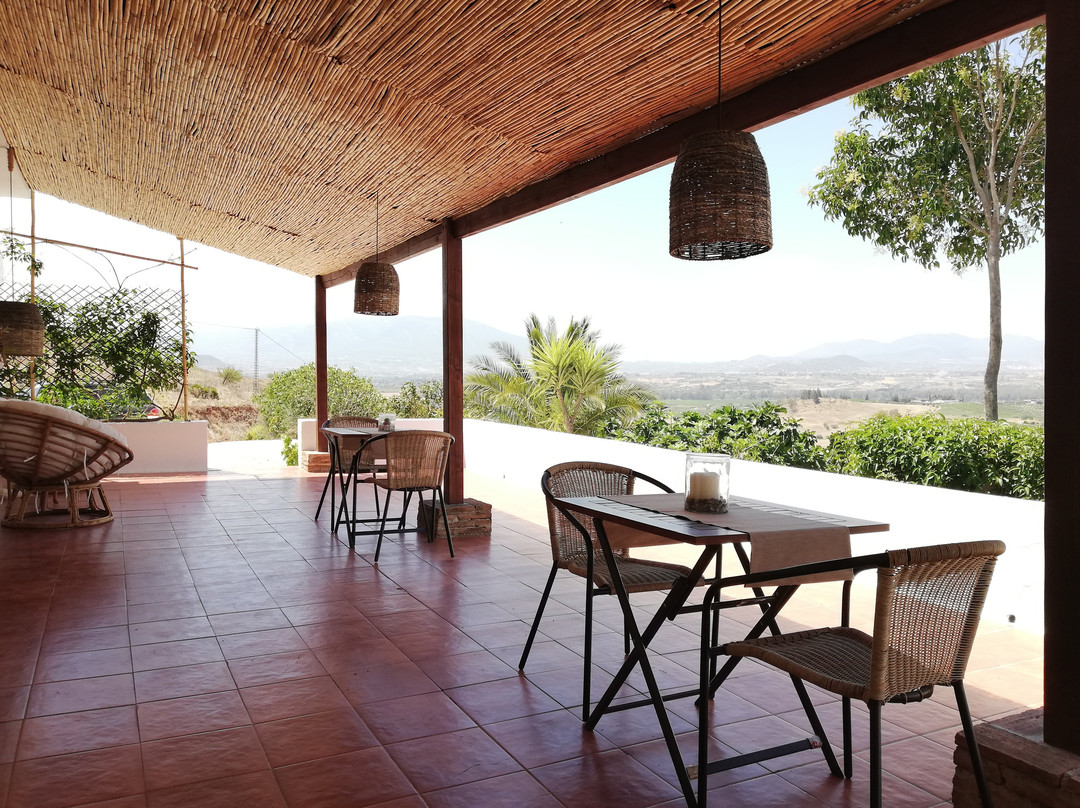 Casa De La Vida Malaga主图