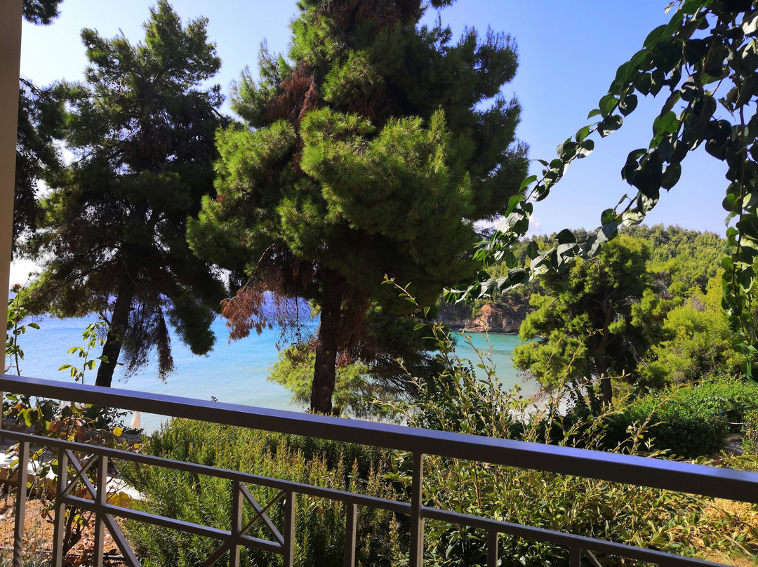 Alonissos Beach Bungalows & Suites Hotel主图