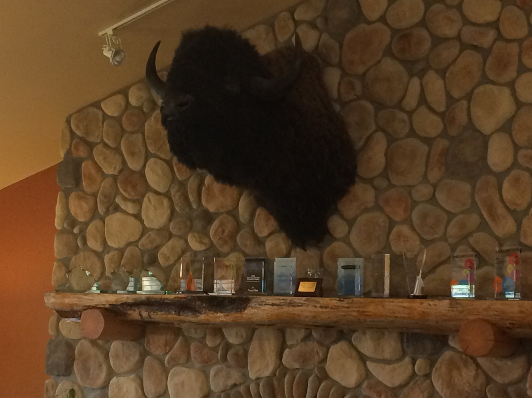 AmericInn by Wyndham Belle Fourche主图