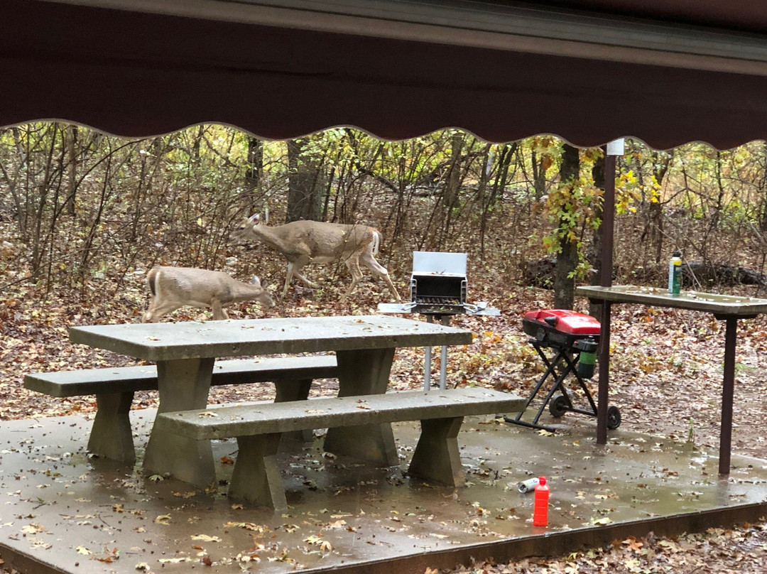 Arcadia Lake-埃德蒙必去景点