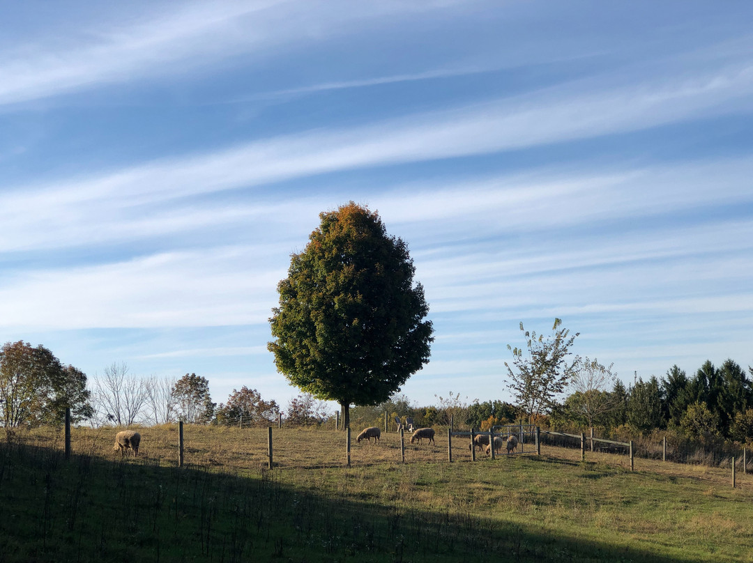 The Inn at Honey Run主图