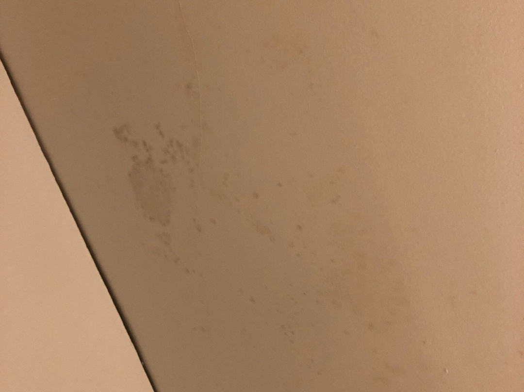 Voyageur Motel主图