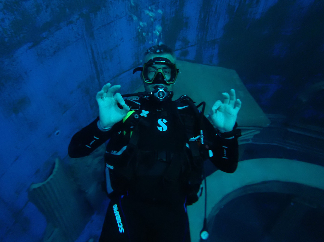 Dive4Life景点图片