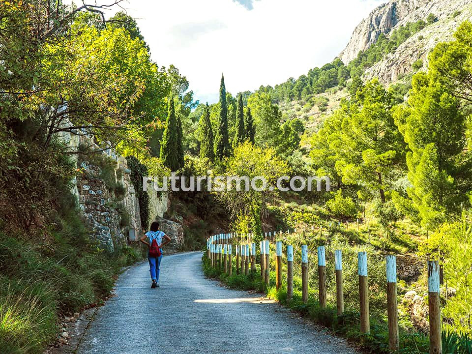 Cocentaina旅游攻略图片