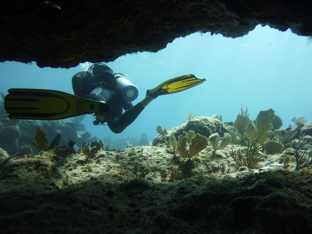 Scuba Zen景点图片