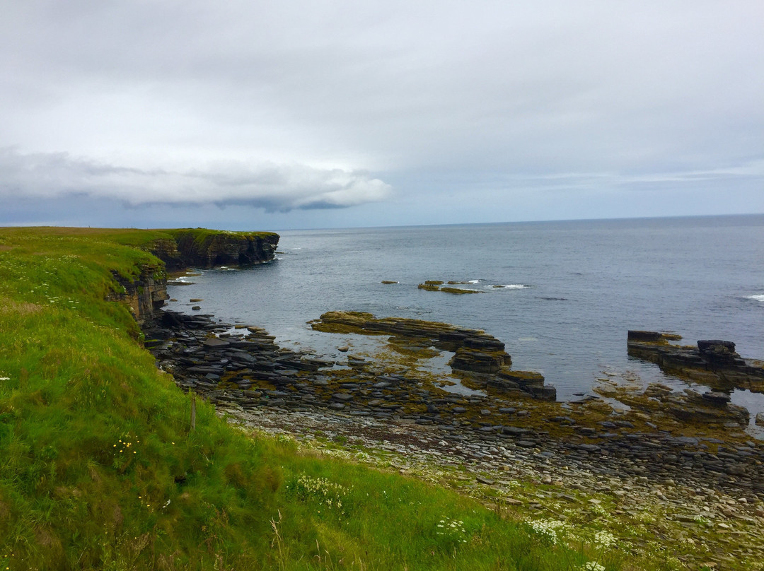 Caithness Broch Centre景点图片