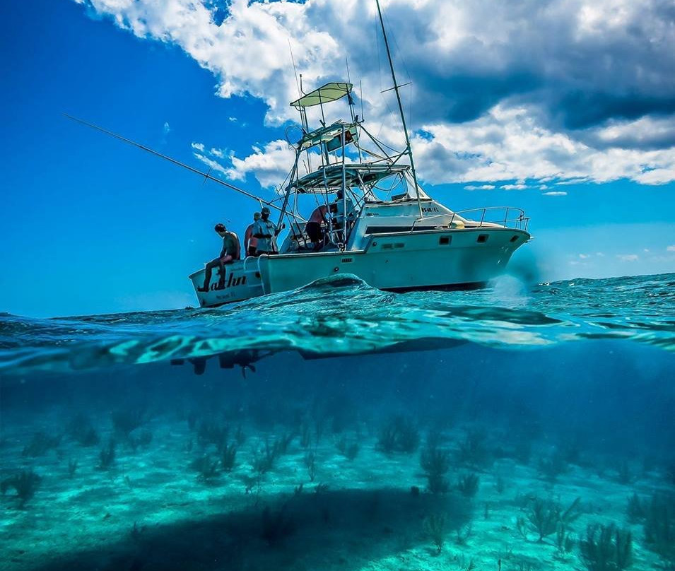 Double D & I-伊柳塞拉必去景点