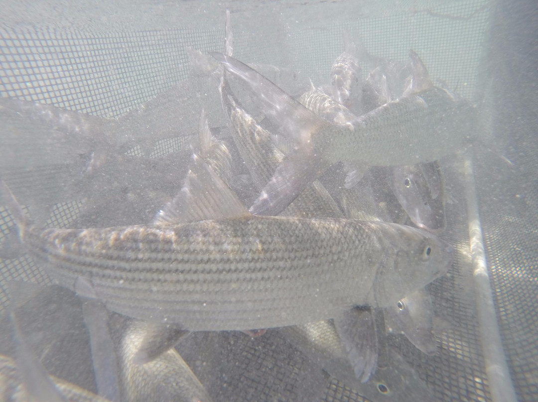 Coco Loba Tours-伊柳塞拉必去景点