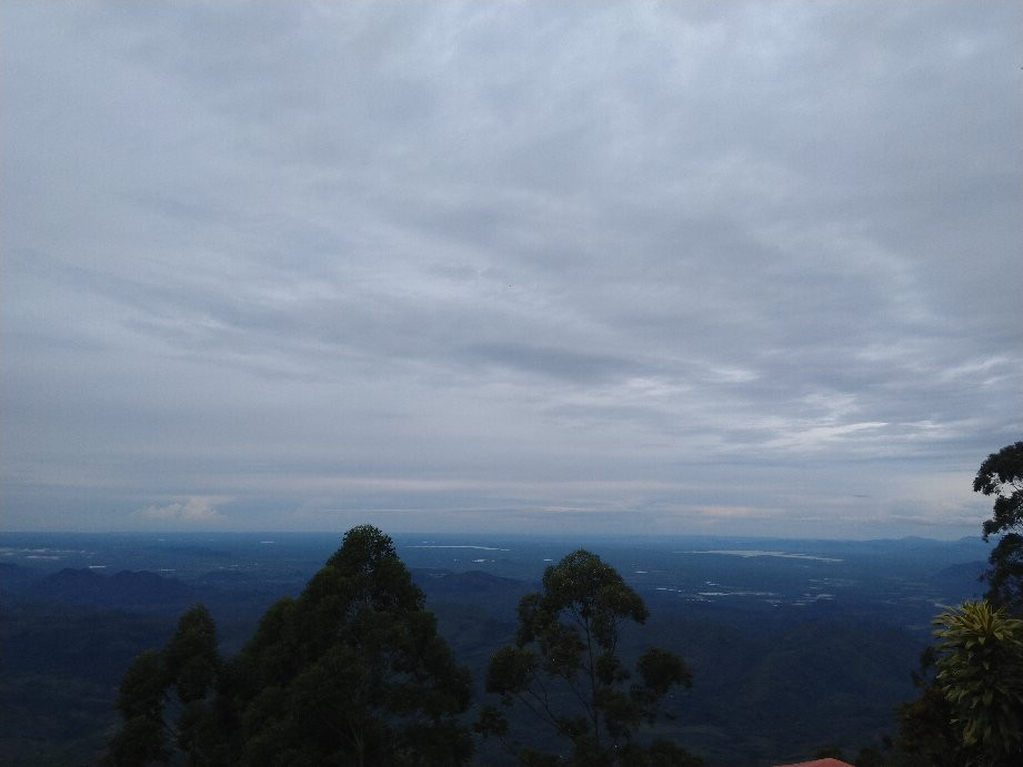 White Monkey - Dias Rest主图