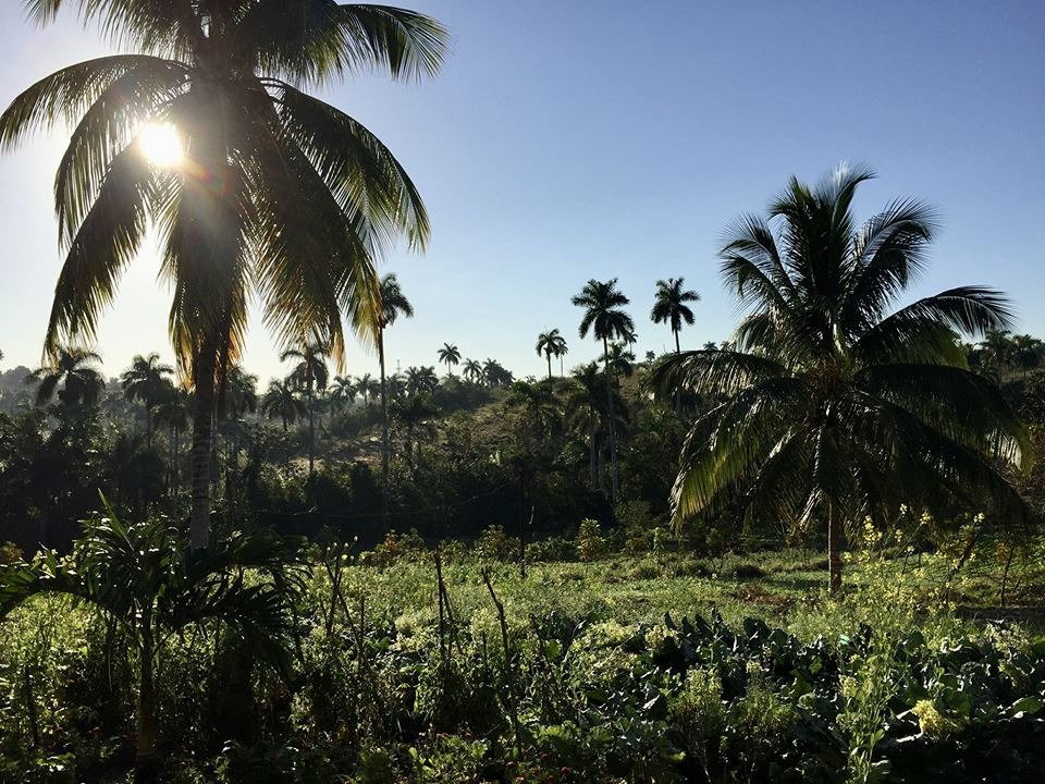 Finca Tungasuk-Caimito必去景点
