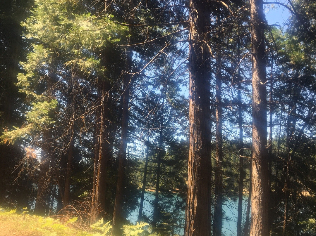 Jenkinson Lake-Pollock Pines必去景点