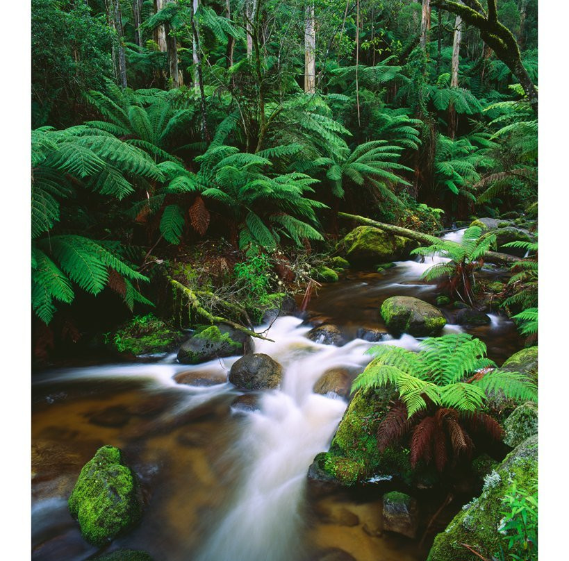 Toorongo Falls-Noojee必去景点