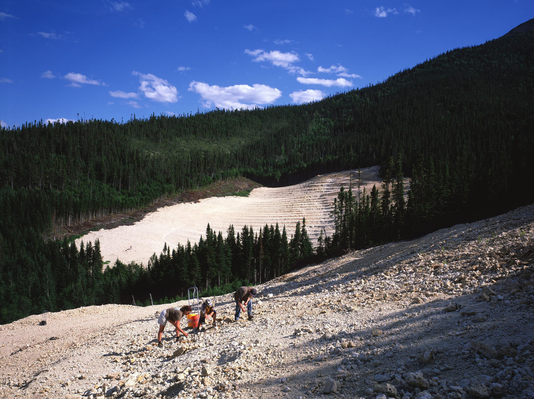 Mine d'agates du Mont Lyall景点图片