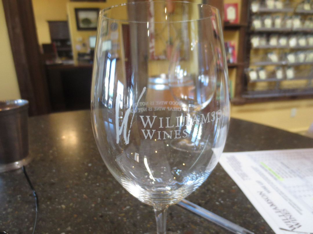 Williamson Wines Tasting Room-希尔兹堡必去景点