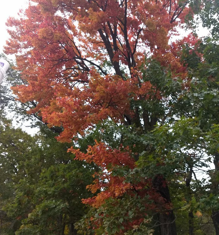 Country Bumpkin Farm Market-威斯康星峡谷必去景点
